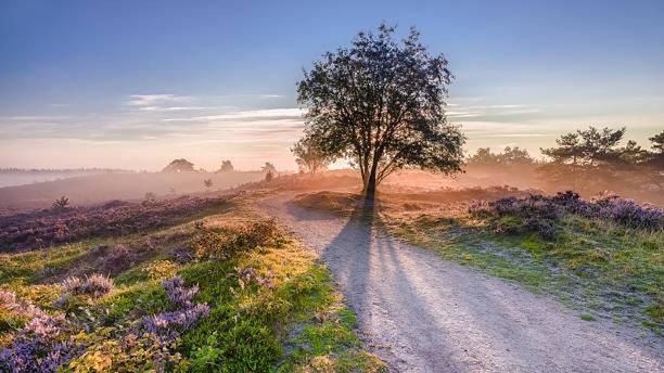Hotel Buitenlust Hoenderloo Bagian luar foto